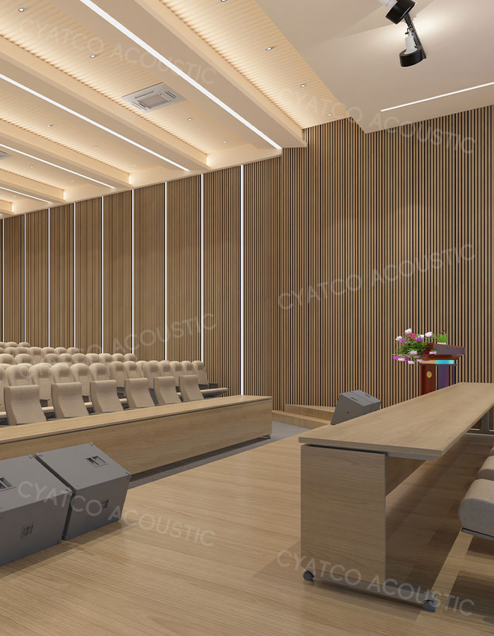 Shenzhen middle school multi-functional lecture hall acoustic akupanel case-2