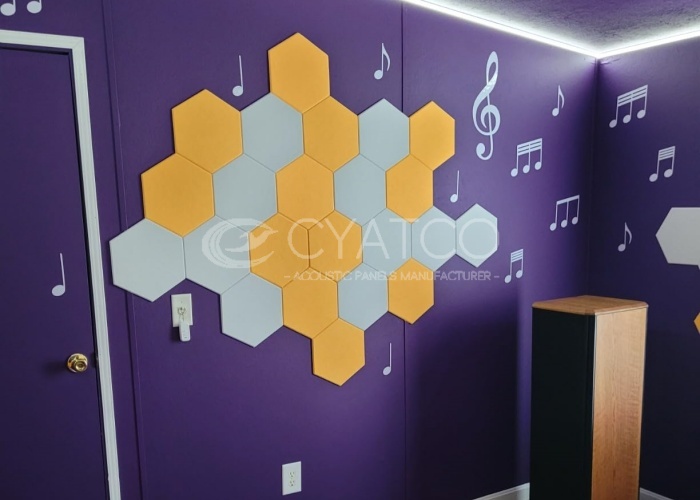 Felt Acoustic Panels in Video room (3)