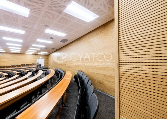 sound-absorbing panels improve the sound quality of an auditorium (3)